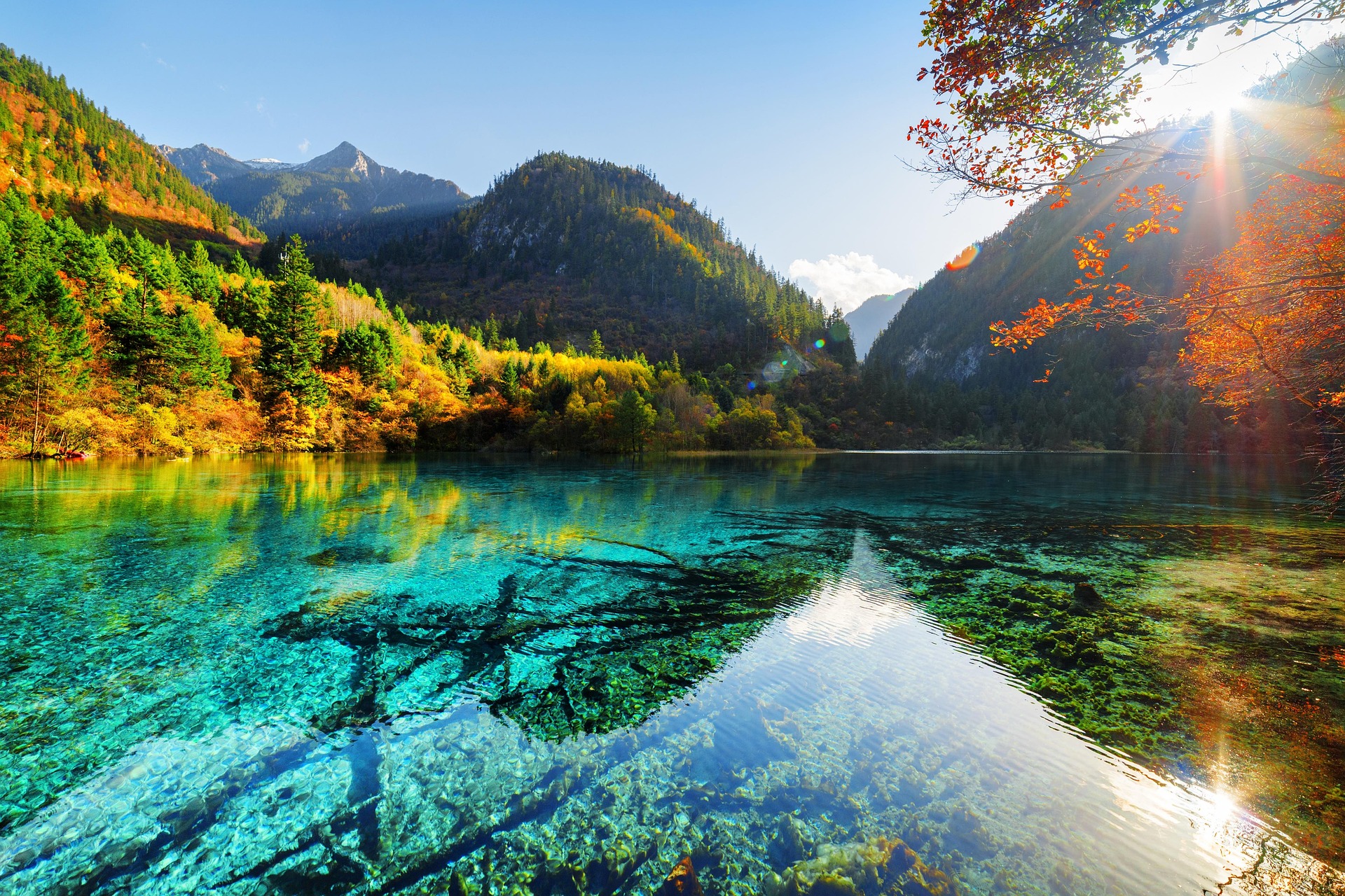 6 Days Private Tour of Chengdu - Leshan - Mt. Emei - Chengdu - Huanglong - Jiuzhaigou