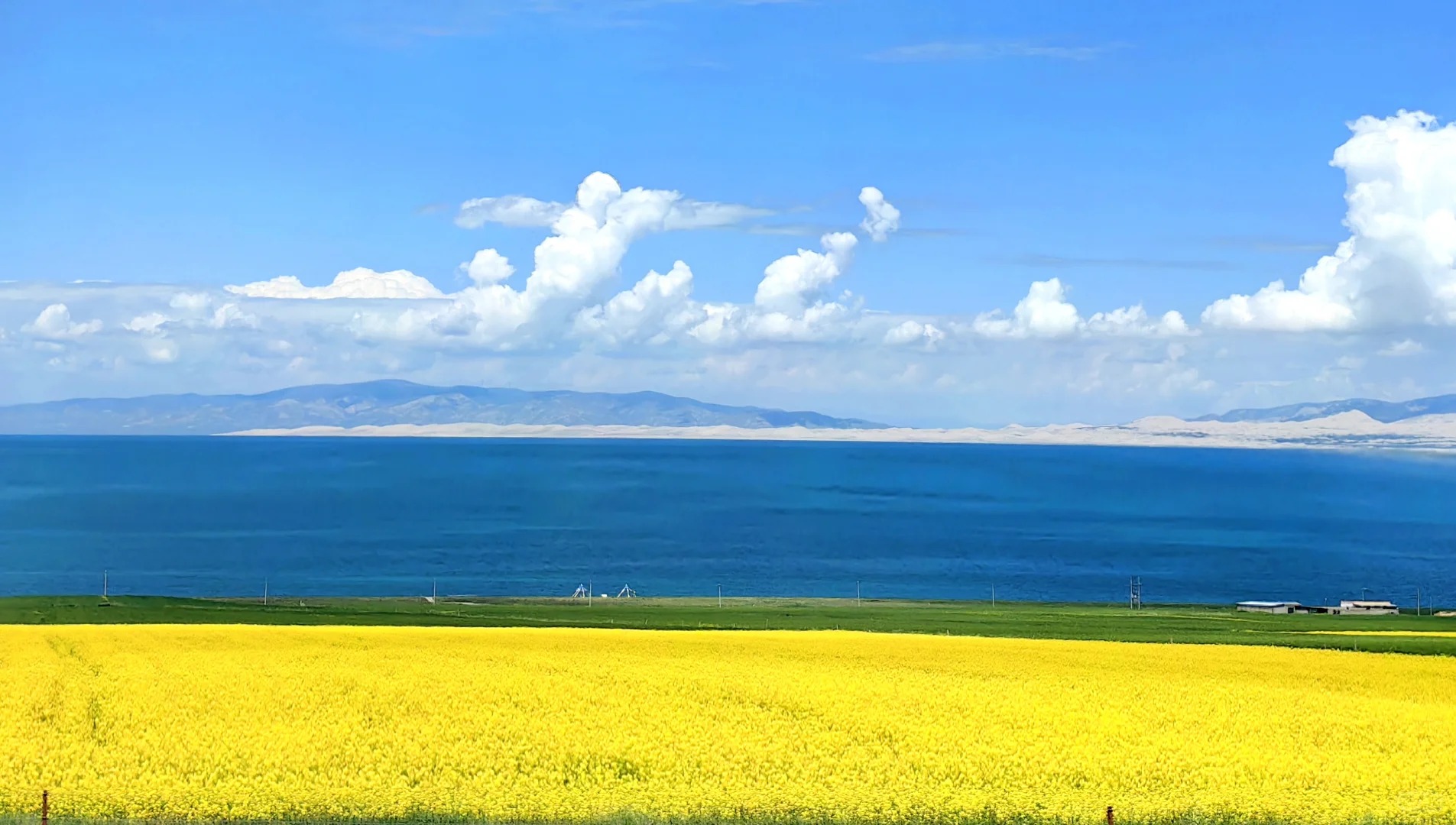 7月21青海湖油菜花实拍，不要门票的大片儿_1_少侠