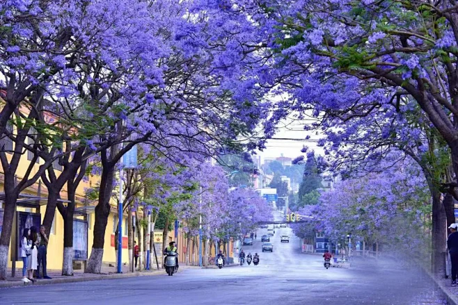 3defc1613c66be598a2e62f481817718f069ca3fad0c5-2YPIta_fw658we