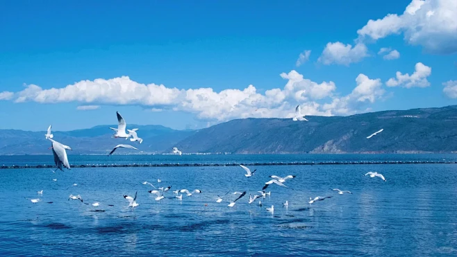 4e7f4316cad9a1ca1b13dd3fd8cc0d0e95dcb4cb1efc4-22Pg43_fw658webp