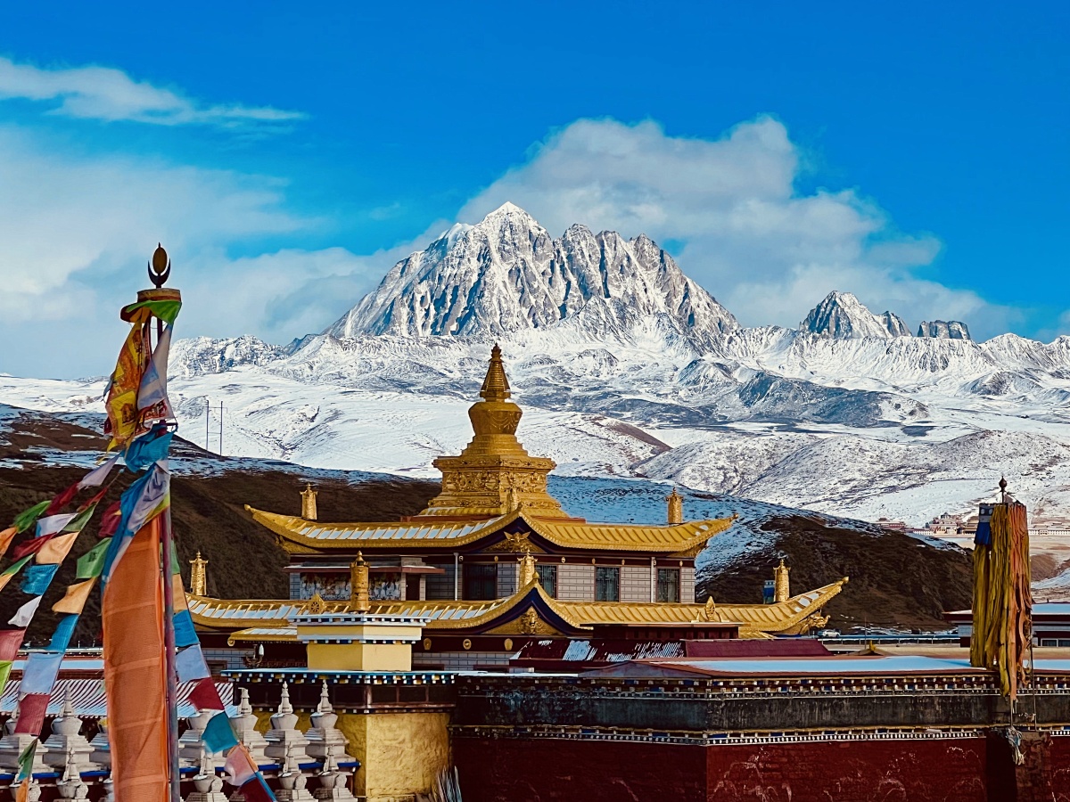 8f4d29af32ce4af74578b5430ca9a8613754990430de05-HSfaP8_fw1200