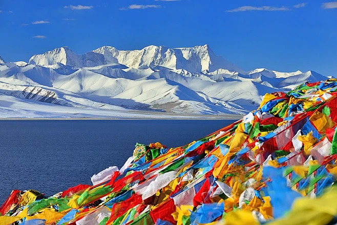 IMG_202603046099_jpg