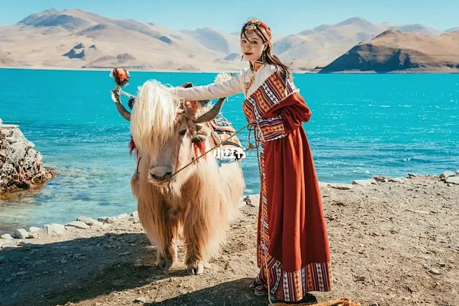 IMG_202603042985_jpg