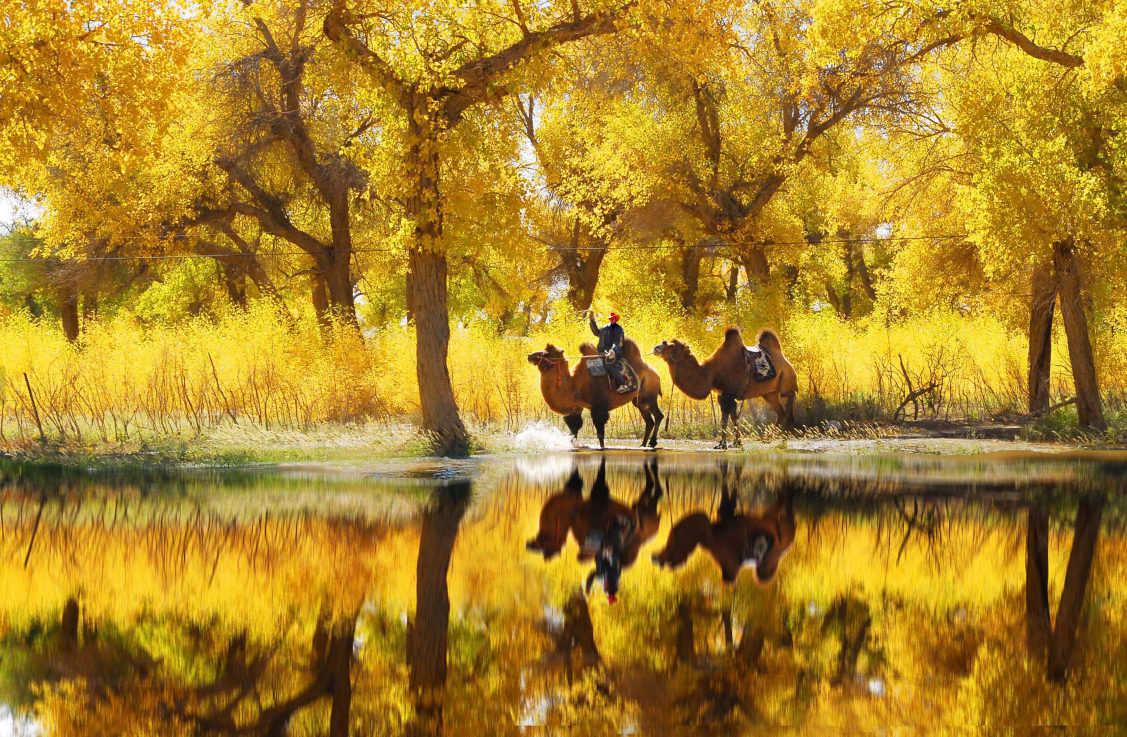 04c89a07-e983-460e-963a-cbeb6d9bfc40