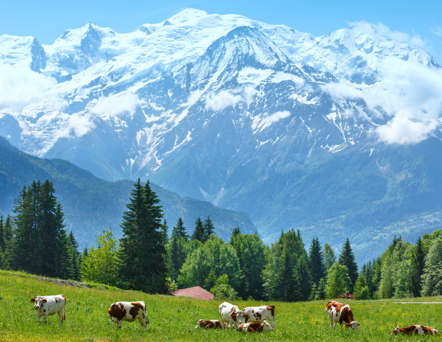 57b0d032-8790-4cbe-be06-fe94350aa243