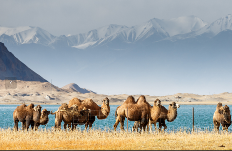 27cb2ea0-7709-4c65-add2-dae5763989b1