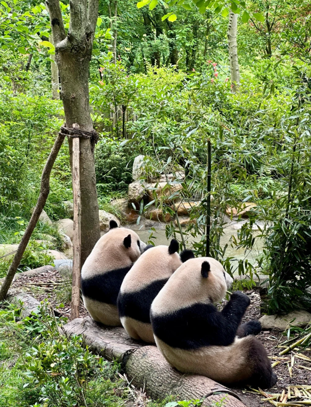 730ae6b0-0b23-4f23-8fbb-bc0a8126141a