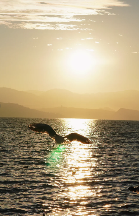 7b47406d-67ba-423b-9807-55be1cb8c8f2