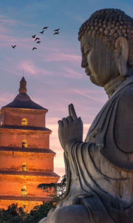 6b3c168e-71af-4ea1-a6f2-3fd39681f99a