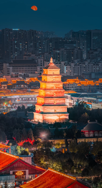 4b05abc8-b313-447a-955e-1b63fb7cc60a