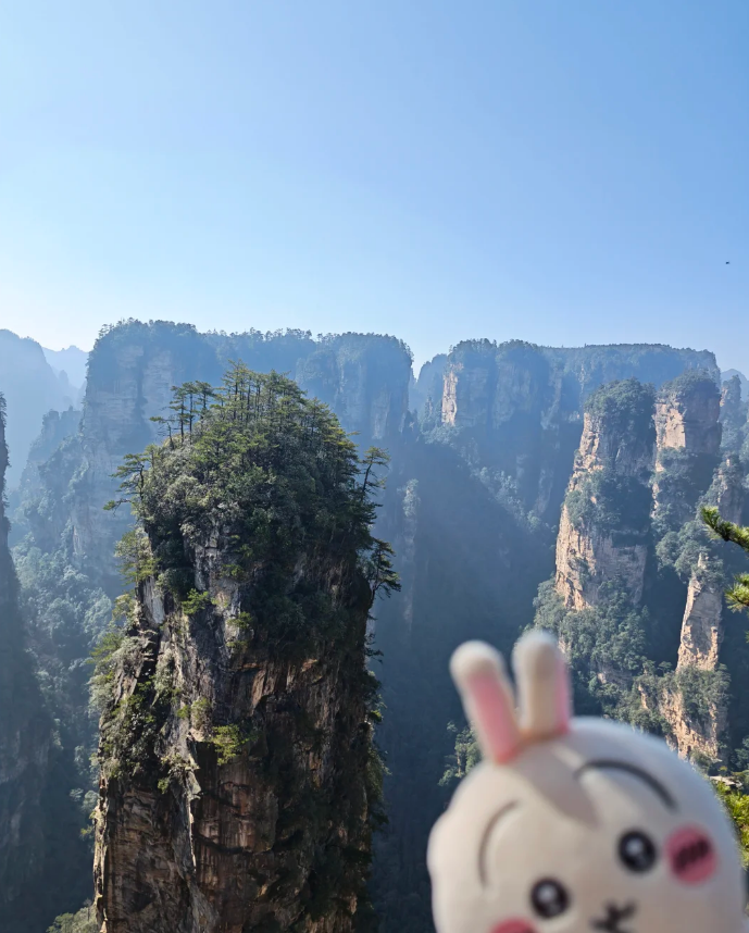 80444d90-ba73-4db4-a6ed-968ae81a41ef