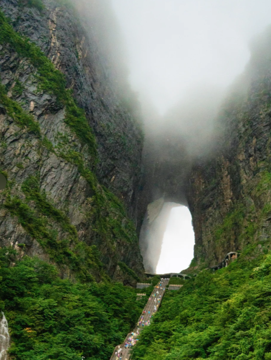 a8badd4e-81a2-4420-8323-509158d135e8