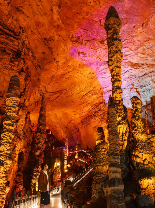 700d097f-ff0d-4f88-8270-1cc41b91b6c5