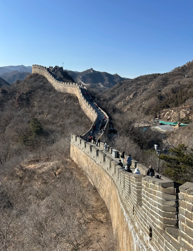 屏幕截图 2026-03-23 141931