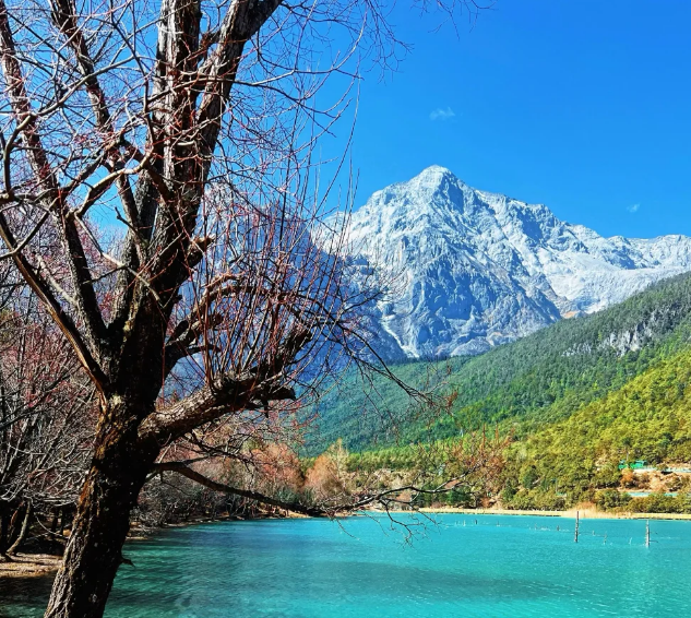 491981f0-956c-4876-810f-456bfbddd395