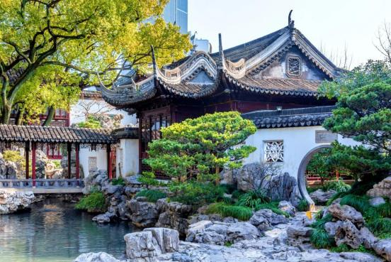 图片8